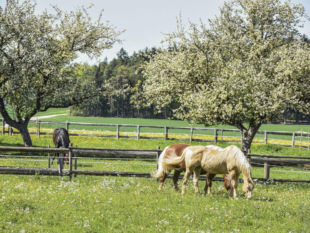 Ferienwohnung Im Weiler Winterlingen Exteriér fotografie